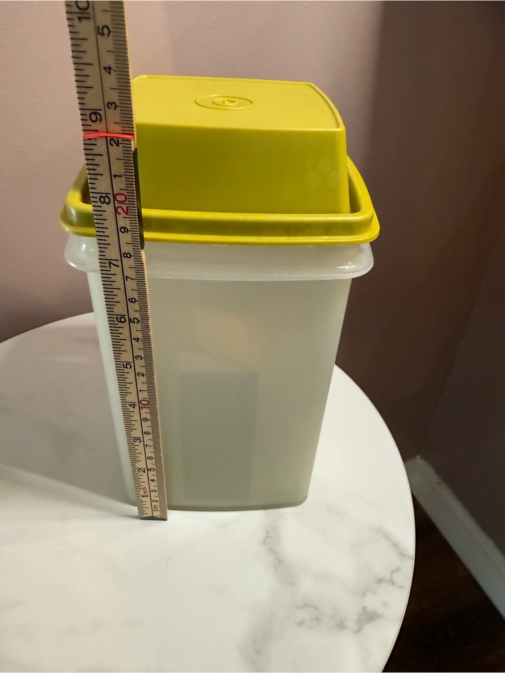 Tupperware Pickle Storage Container - Picture 6 of 7